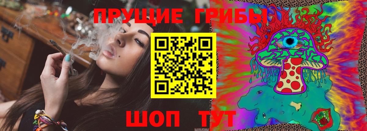 Камышин  Псилоцибиновые грибы Psilocybe  Вход с VPN 