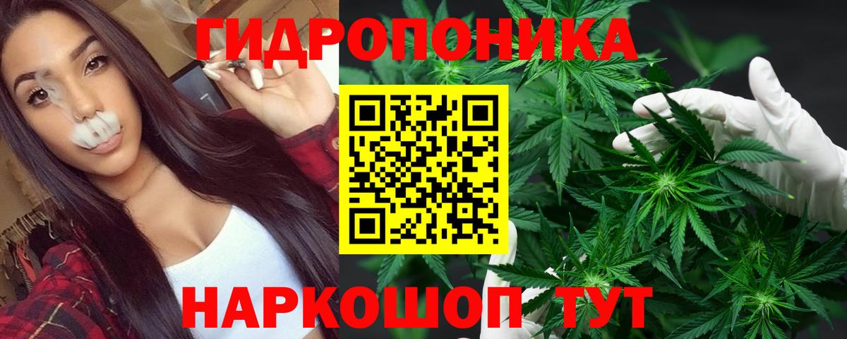 МАРИХУАНА тримм  Вход с VPN  Камышин  Бошки Шишки THC 21%  Марихуана гибрид 